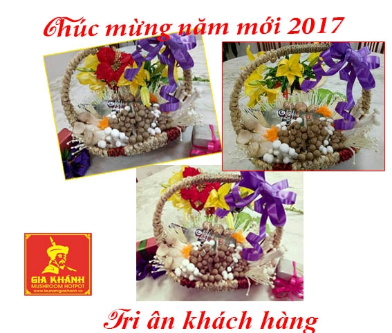 Chào xuân năm mới 2017