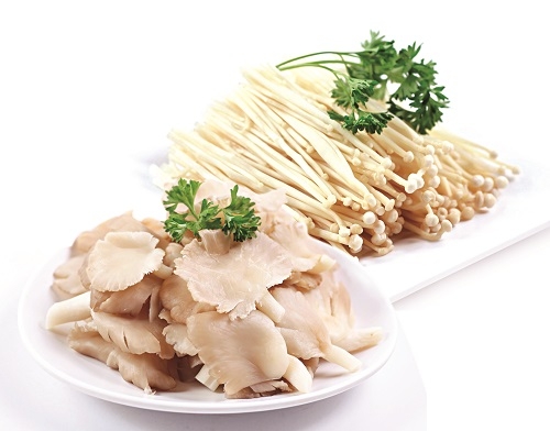 Lợi ích của nấm bào ngư xám